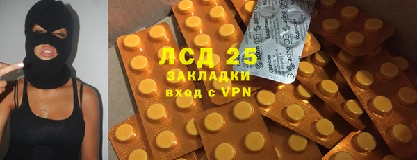 прущие грибы Вяземский
