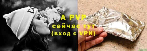 прущие грибы Вяземский