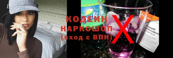 прущие грибы Вяземский