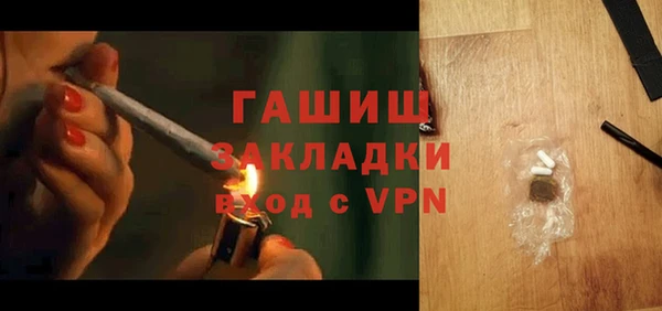 прущие грибы Вяземский