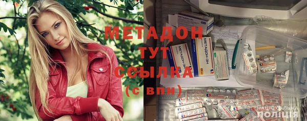 прущие грибы Вяземский
