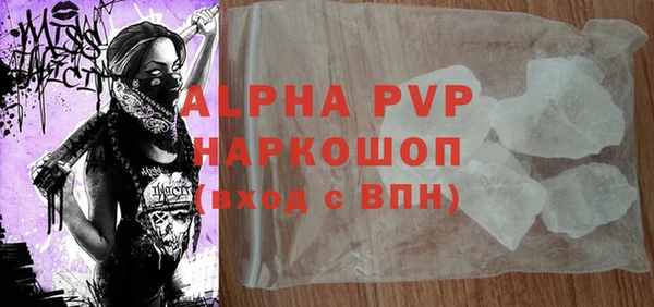 прущие грибы Вяземский