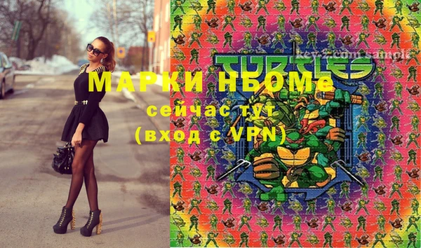 прущие грибы Вяземский